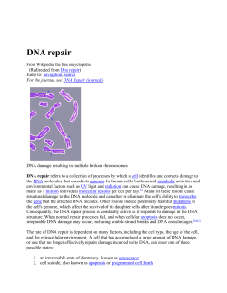 DNA repair - Environmental Defense Institute