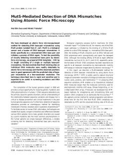 MutS-Mediated Detection of DNA Mismatches Using Atomic Force