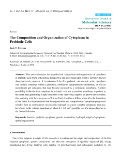 The Composition and Organization of Cytoplasm in Prebiotic