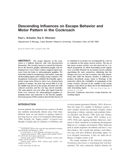 Descending Influences on Escape Behavior and Motor Pattern in the