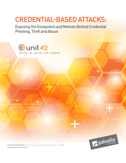 - Palo Alto Networks