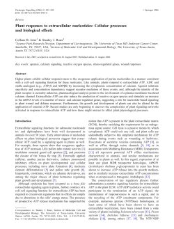 Plant responses to extracellular nucleotides: Cellular processes and