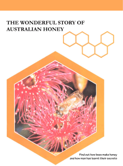 the wonderful story of australian honey