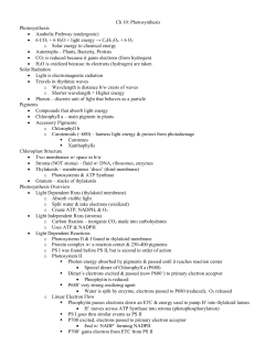 Ch 10: Photosynthesis Photosynthesis &bull; Anabolic Pathway