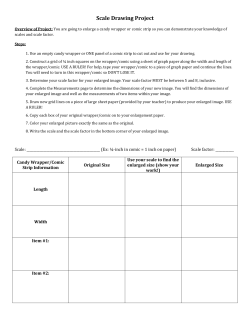 Scale Drawing Project