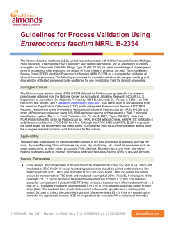 Guidelines for Process Validation Using Enterococcus