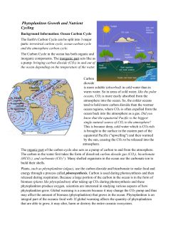 Phytoplankton Laboratory Activity