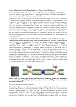 Selective Reconstitution of Biomolecules in Polymer