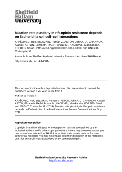 Mutation rate plasticity in rifampicin resistance depends on