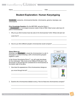 HumanKaryotypingSE