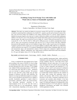 Fertilizing Young Navel Orange Trees with Sulfur and Wood Ash as