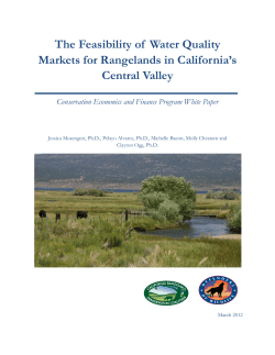 The Feasibility of Water Quality Trading for Central Valley