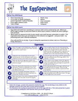The EggSperiment - all grins 4 kids