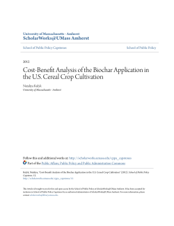 Cost-Benefit Analysis of the Biochar Application in the U.S. Cereal
