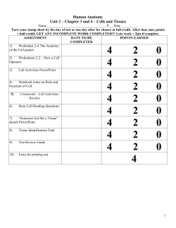 Human Anatomy Unit 2 &ndash; Chapter 3 and 4 &ndash; Cells and Tissues