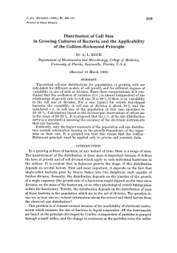 Distribution of Cell Size in Growing Cultures of