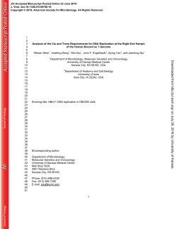 Analysis of the Cis and Trans Requirements for DNA Replication at