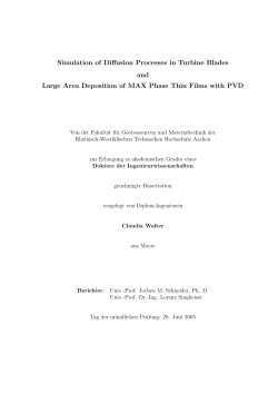 Simulation of Diffusion Processes in Turbine Blades and Large Area