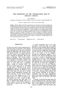 the geometry of the topographic map in striate cortex