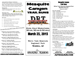 Mesquite Canyon March 23, 2013