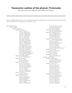 Taxonomic outline of the phylum Firmicutes