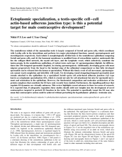 Ectoplasmic specialization, a testis-specific cell&ndash;cell actin