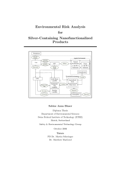 Environmental Risk Analysis for Silver-Containing