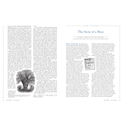 Magazine: The Story of a Shoe