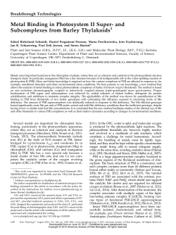 Metal Binding in Photosystem II Super- and