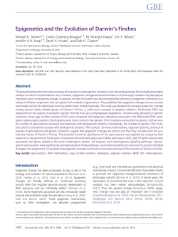 Epigenetics and the Evolution of Darwin`s Finches