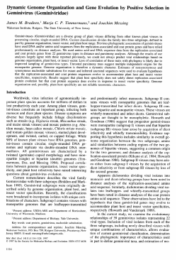 Dynamic Genome Organization and Gene Evolution by Positive