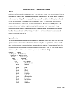 Monoecious Hydrilla - Northeast Aquatic Nuisance Species Panel
