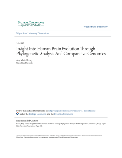 Insight Into Human Brain Evolution Through Phylogenetic Analysis