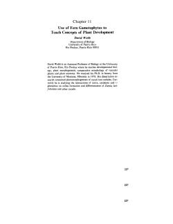 Use of Fern Gametophytes to Teach Concepts of Plant Development