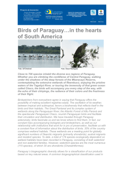 Birds of Paraguay&hellip;in the hearts of South America