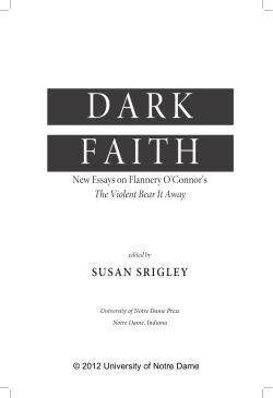 Dark Faith: New Essays on Flannery O`Connor`s