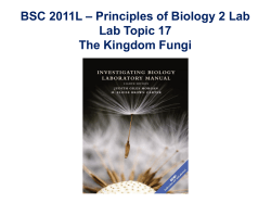 Lab Topic 17 - MDC Faculty Web Pages