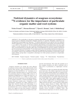 Marine Ecology Progress Series 295:49