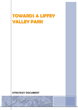 towards a liffey valley park - South Dublin County Council