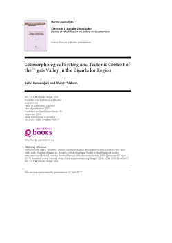 Geomorphological Setting and Tectonic Context of the Tigris Valley