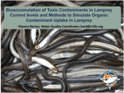 Bioaccumulation of Toxic Contaminants in Lamprey