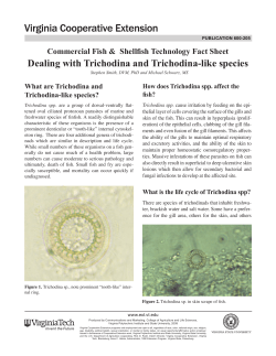 Dealing with Trichodina and Trichodina-like species