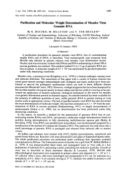 Purification and Molecular Weight Determination of Measles Virus
