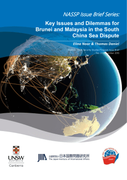 Key Issues and Dilemmas for Brunei and