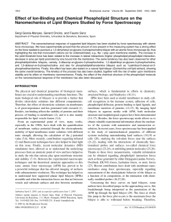 Effect of Ion-Binding and Chemical Phospholipid Structure on the