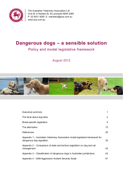 Dangerous dogs &ndash; a sensible solution