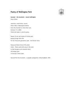 Poetry - Mount Wellington