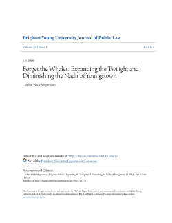 Expanding the Twilight and Diminishing the Nadir of Youngstown