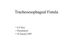 Tracheoesophageal Fistula