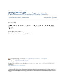 factors influencing off-flavor in beef
